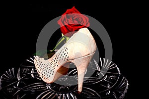 Female Shoe and rose