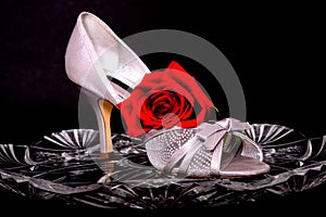 Female Shoe and rose