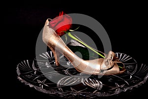 Female Shoe and rose