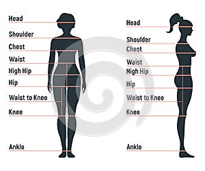 Female size chart anatomy human character, people dummy front and view side body silhouette, isolated on white, flat vector