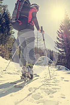 Female ski tourer ascending a forest slope.