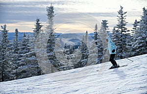 Female skier in blue jacket skiing downhill