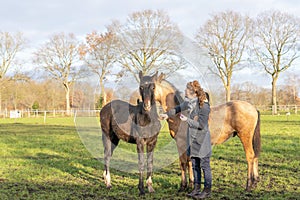 Female socializes a 6 month old foal in the pasture. She wears outdoor clothing in the winter. The horses are brushed and cared