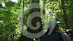 Female solo hiker with backpack walking through the rainforest surrounded by lush foliage plants under morning sunlight.