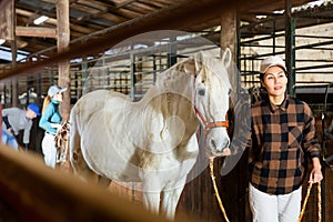 Female stable worker leads a white horse out of stall