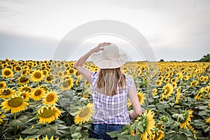 Female standing in sunflower field