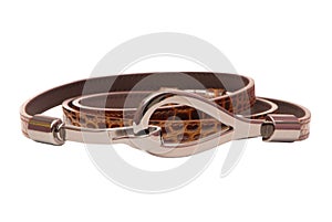 Female strap is out of patent leather,  brown fashionable  belt, isolated accessory on white background,