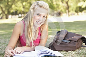 Female Student Studying In Park