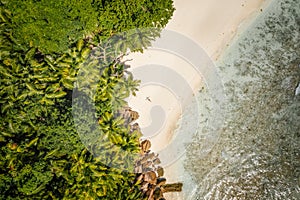 Female sunbathing on tropical sandy beach surrounded by palm trees and turquoise blue ocean lagoon. Aerial drone shot