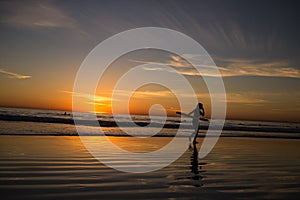 Female surfer at beach sunset