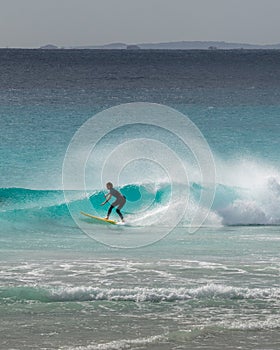 Female surfer crouches catching tube on green wave with offshore breeze causing water spray with hills in the background