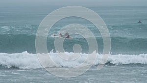 Female surfer paddling in the sea with huge breaking surf waves on a summer day.