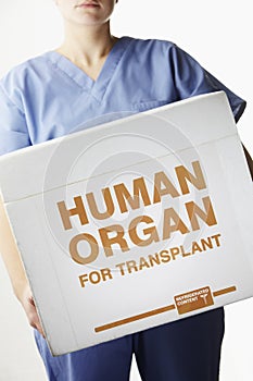 Female surgeon carrying transplant organ box