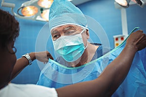 Female surgeon helping her co-worker in wearing scrubs