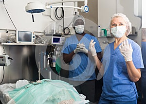 Female surgeon putting on sterile rubber gloves