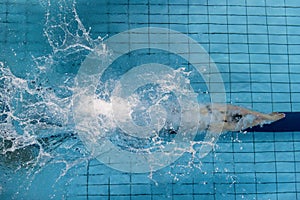 female swimmer, that jumping and diving into indoor sport swimming pool. Sporty woman.