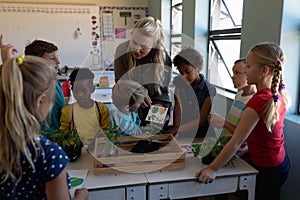 Female teacher around a box of plants for a nature study lesson in an elementary school classroom