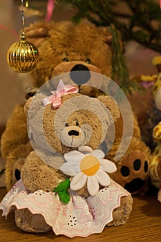Female Teddy Bear