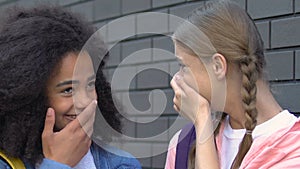 Female teenagers gossiping in schoolyard, spreading rumors about classmates