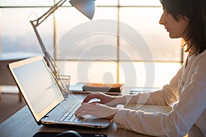 Female teleworker texting using laptop and internet, working online. Freelancer typing at home office, workplace. photo