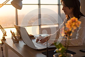 Female teleworker texting using laptop and internet, working online. Freelancer typing at home office, workplace. photo