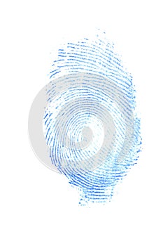 Female thumb print