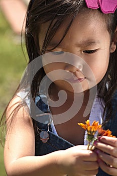 Female toddler playing with flower outdoors