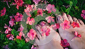 female toes on green grass and fallen phlox flowers