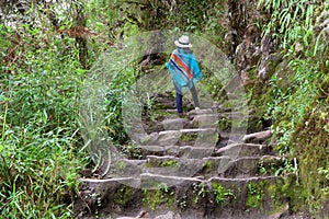 Female tourist hiking the Huayna Picchu mountain, Machu Picchu, Cusco Region, Peru