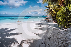 Female tourist with raised hands enjoy empty tropical beach on vacation. White powdery sand beach, palm trees and blue