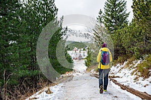 Female tourist in a yellow down jacket, crampons on shoes, wanders the mountain trail.