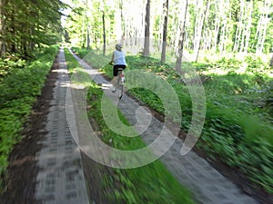 Female trek cyclist in woods