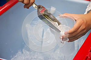 Female use metal ice scoop and plastic cup in ice bucket