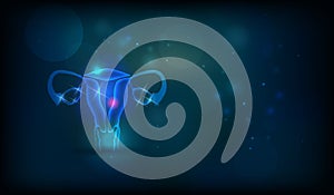 Female uterus abstract background