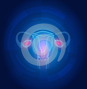 Female uterus abstract blue technology background
