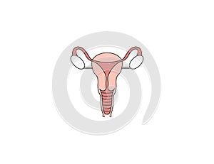 Female, uterus, womb icon. Vector illustration. Flat design