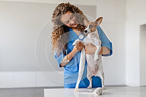 Female vet with curly hair bandaging a dog& x27;s paw