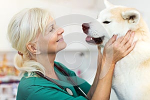 Female vet examining a dog