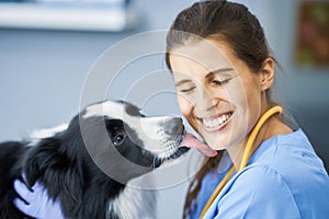 Female vet examining a dog in clinic