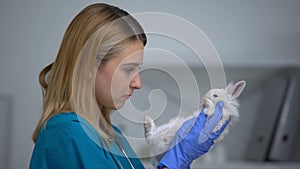 Female vet examining rabbit fur and stomach, complete pet physical checkup