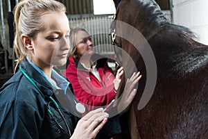 Female Vet Giving Injection To Horse In Stable