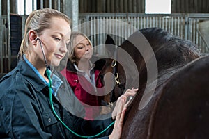 Female Vet Giving Medical Exam To Horse In Stable