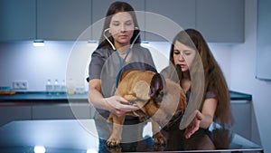 Female vet and nurse examining dog on the examination table