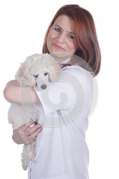 Female vet with poodle puppy