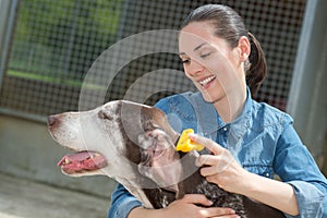 Female vet stroking dog at animal shelter