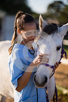 Female vet stroking white horse