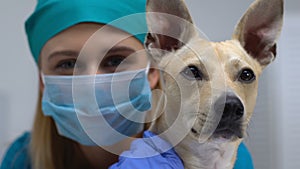 Female vet surgeon in mask holding dog looking at camera, pet treatment, care