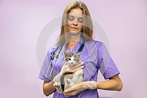 Female veterinarian with cute cat in clinic