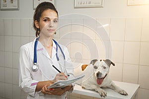 Female veterinarian with dog at vet clinic