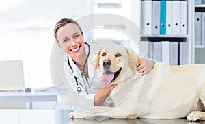 Female veterinarian examining dog